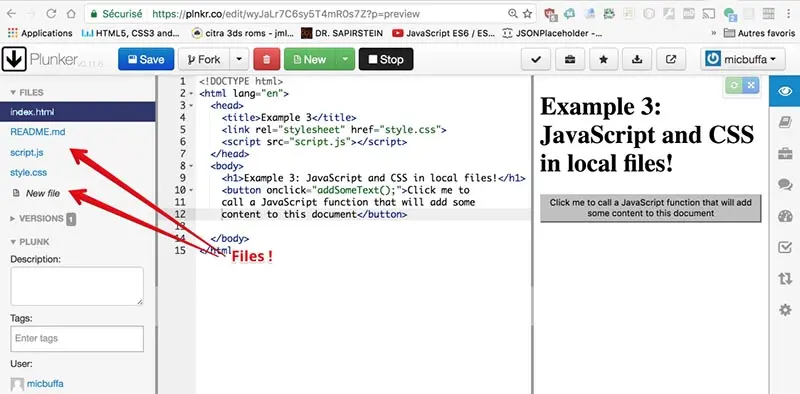 Snapshot of a Plunker example.