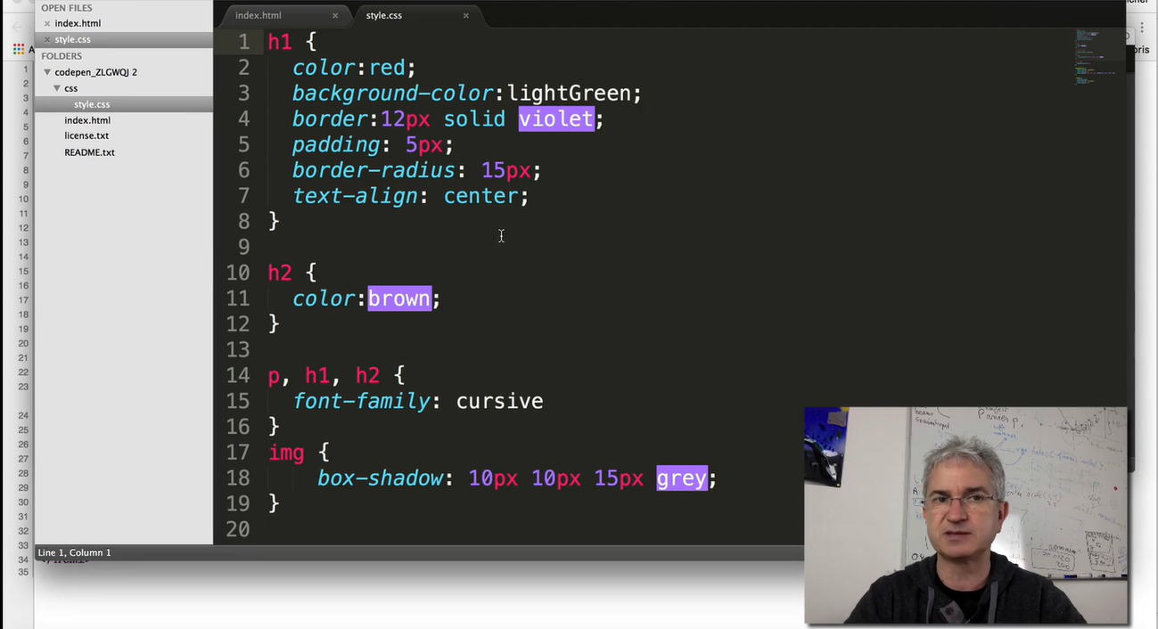 CodePen: Example style.css.