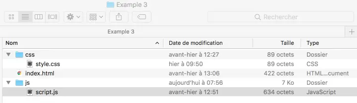 CodePen: example 1: JS in the .html file.